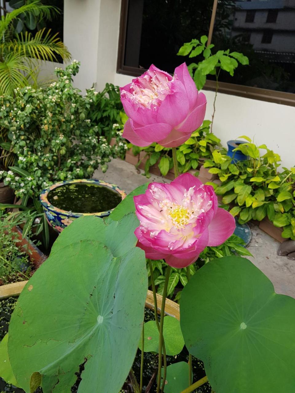 Win Mansion Motel Bangkok Ngoại thất bức ảnh